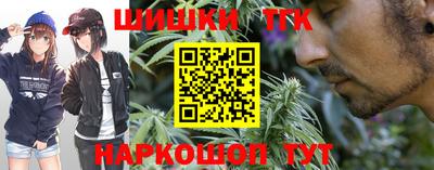 сатива Шебекино